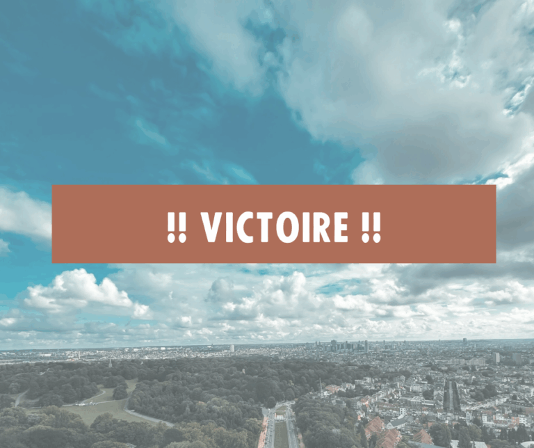 Communiqué de presse : Décision historique – le tribunal de première instance de Bruxelles ordonne un moratoire sur l’urbanisation à Bruxelles