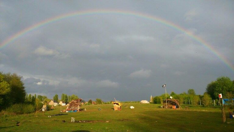 Suspension de l’urbanisation des espaces naturels non-bâtis d&rsquo;au moins 0,5 Ha à Bruxelles: la Région fait appel, We Are Nature demande des astreintes