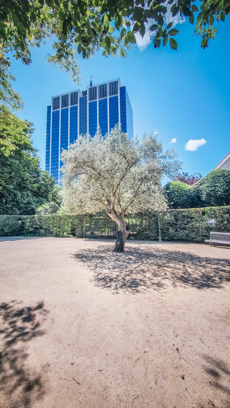 Canicule : We Are Nature demande que le nombre de morts socio-climatiques soit étudié et rendu public